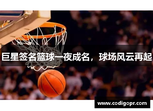 巨星签名篮球一夜成名，球场风云再起